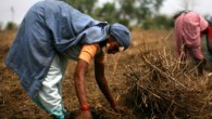 India: Their National I.D. Card and the World’s Largest Administrative Task Share In early 2010 India will begin what some have called the world’s largest administrative task, recording their national census. A formidable task for any nation, India is attempting to push...