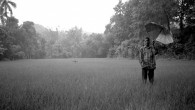 Mangalore, India: A Rising Fall Share The rain is blinding. I tip-toe through the overwhelming, boundless sheet of water – and sole proprietor of the massive green fluorescence that surrounds me. A thick drop slaps...