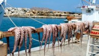 Share Ahh. Paros. I’ve already dished on Santorini just a bit, and now I think it’s time to move on (temporarily at least!) to one of it’s less talked about...