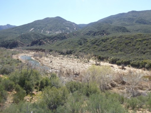 Sespe River Trail