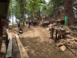 Waystation on Hike to Yubeng 