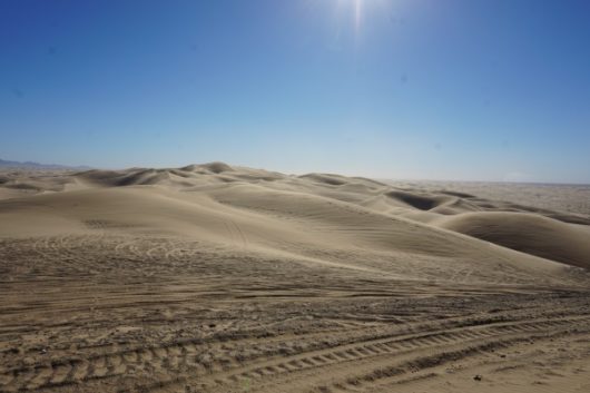 Guide to the Imperial Sand Dune Recreational Area [Algodones Dunes ...